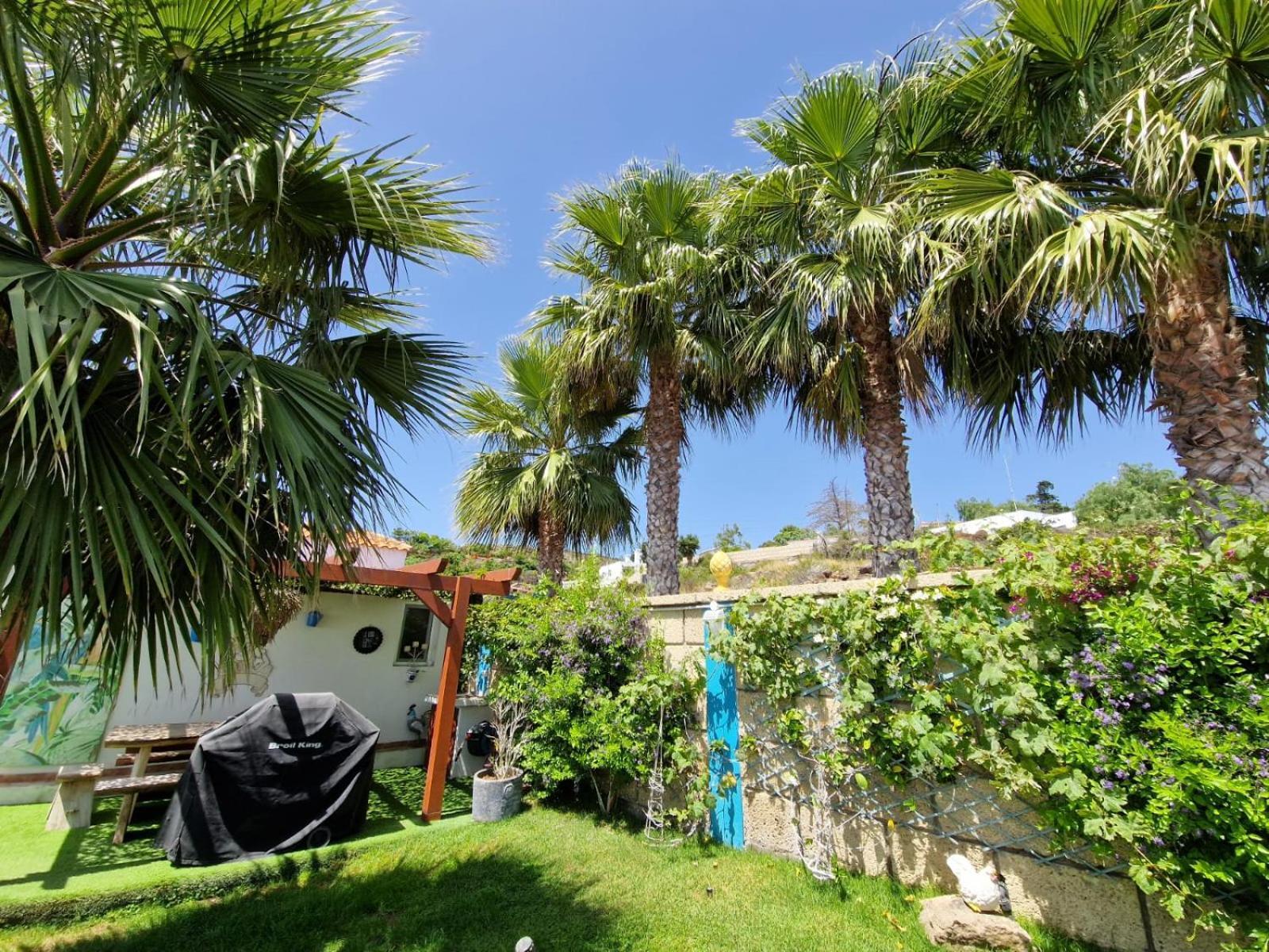 Escape To Finca Conejo, Typical Canarian House Private Jacuzzi, Sauna, Gym, Finca Conejo Taucho By Aqua Vista Tenerife Costa Adeje  ภายนอก รูปภาพ